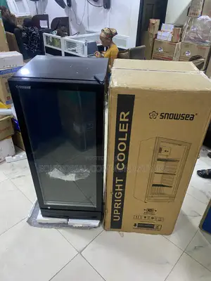 Snowsea 270L Chiller Mai Girma don Kasuwanci
