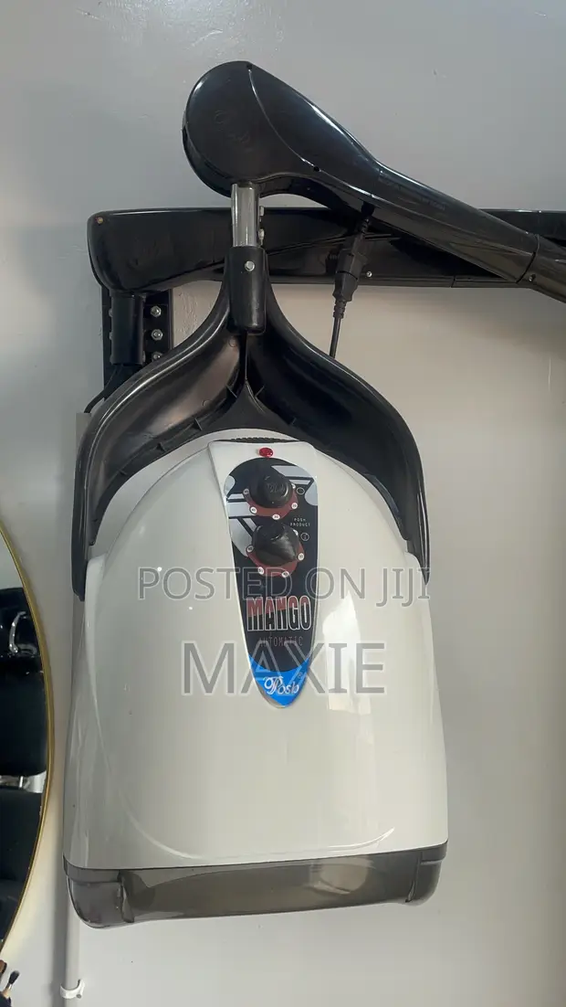 Mango Wall Hair Dryer - 1