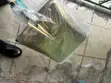 Non-Sparking Brass Shovel for Hazardous Areas - 3