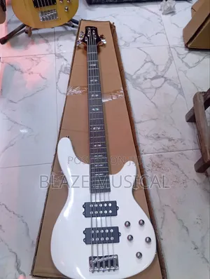 Fender Professional 5-String Bass Guitar