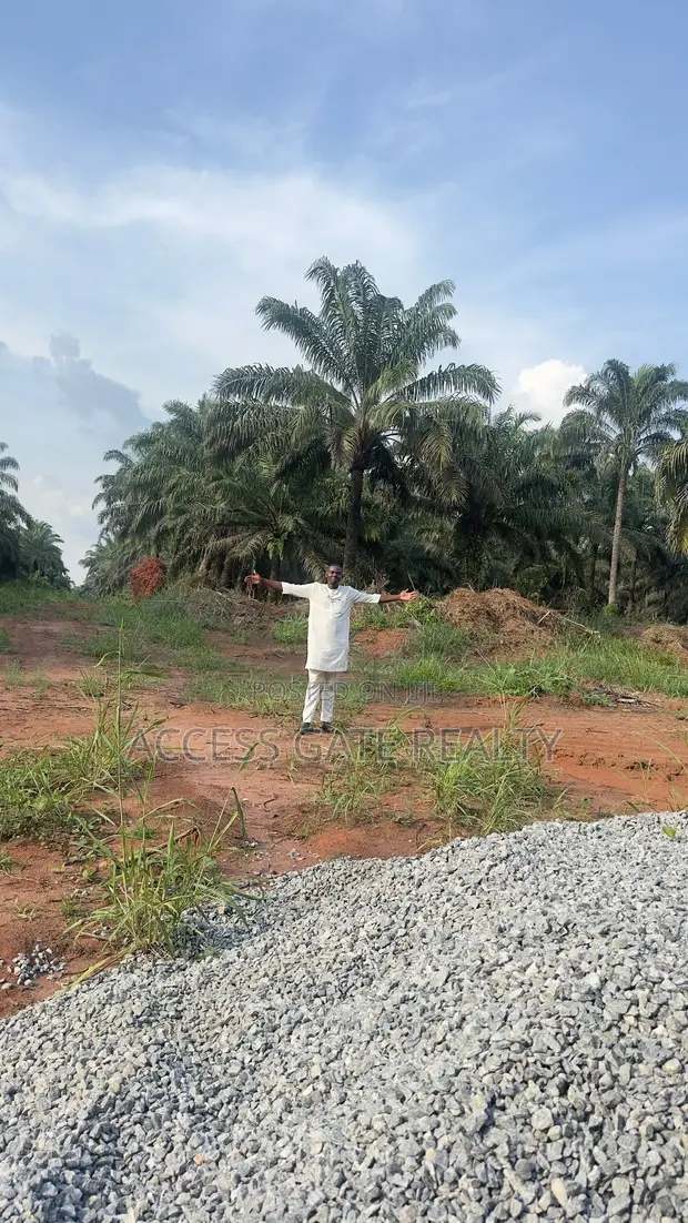 Filin 100x100 a Titin Benin-Akure, Benin City - 1