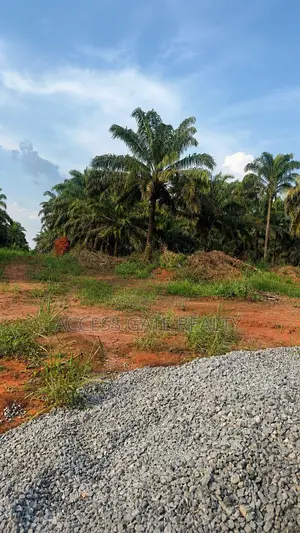 Filin 100x100 a Titin Benin-Akure, Benin City