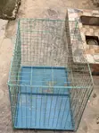 Size 5 Dog Cage - 3