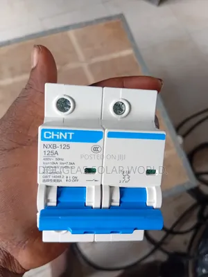 Chint 125A Double Pole AC Breaker