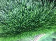 Brand New Turkish Grass Carpet - 4