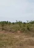 100.35 Hektar Filin Amfani Daban-daban Don Siyarwa @ Maitama 2, Abuja - 2
