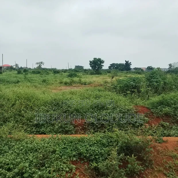 Land with C of O in Gated Estate, Akute - 1