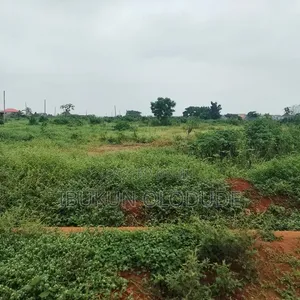 Land with C of O in Gated Estate, Akute