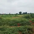 Land with C of O in Gated Estate, Akute - 2