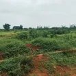 Land with C of O in Gated Estate, Akute - 4