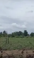 10000 sqm Residential Land for Sale, Wasa - 2