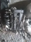 Ford Focus 1.6 Engine (Used) - 1