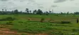 Filin Amfani Daban-daban Don Siyarwa - Oshimili North - 2