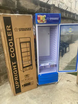 SnowSea LC-500W Cooler Nuni Na Abin Sha Na Tsaye