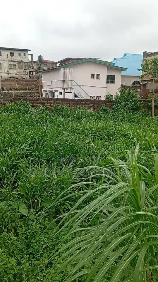 Filin 1350sqm Don Siyarwa a Orita Challenge, Ibadan - 1