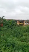 Filin 1350sqm Don Siyarwa a Orita Challenge, Ibadan - 2