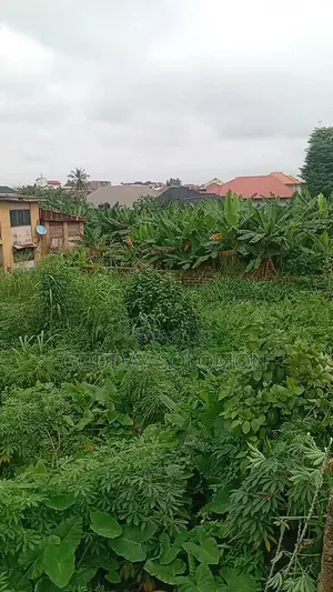 Filin 1350sqm Don Siyarwa a Orita Challenge, Ibadan