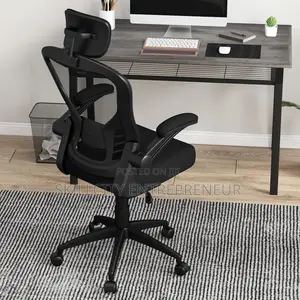 Executive Mesh Office Chair with Lumbar & Headrest