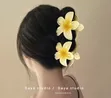 Flower Hair Clips - Women's Acrylic - 2