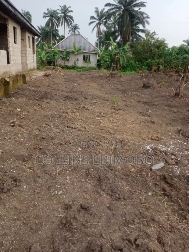 One Plot of Land in Umuasukpo, Igbo Etche - 1