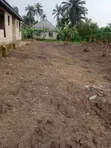 One Plot of Land in Umuasukpo, Igbo Etche - 1