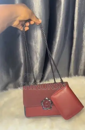 Louis Vuitton Ash Handbag
