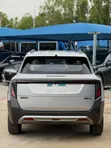 New Dongfeng Nammi 01 2025 - 4