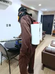Primary and Secondary School Fumigation Service - 2