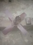 Aerus Short Blade Ceiling Fan - 3