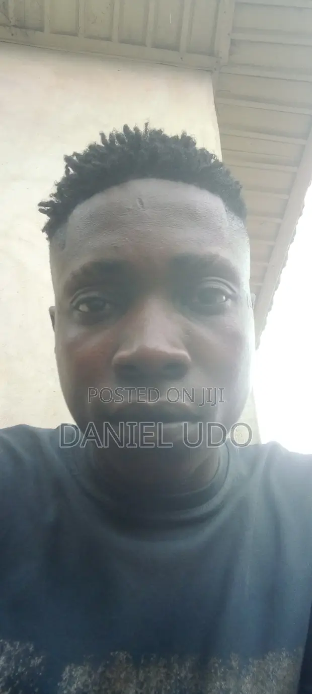 Daniel Effiong Udo - Interstate Driver CV - 1
