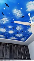 Sky Ceiling Installation Service - 1