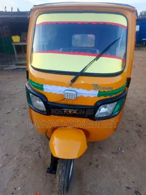 2020 Tricycle Gray
