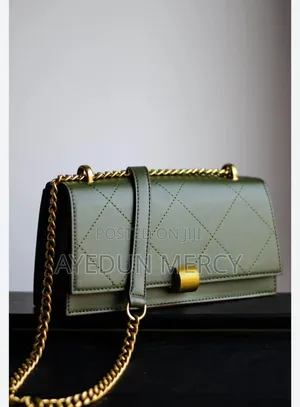 Zara Chain Handbag - Brand New