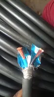 6mm 2-Core Shielded Solar Cable - 1