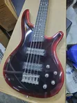 Ibanez SR305E Bass Guitar Mai Igiyoyi 5 - 5