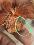 70mm Single Wedding Cable - Pure Copper - 2