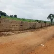 Filin Noma na Dabino don Siyarwa a Abeokuta North - 4