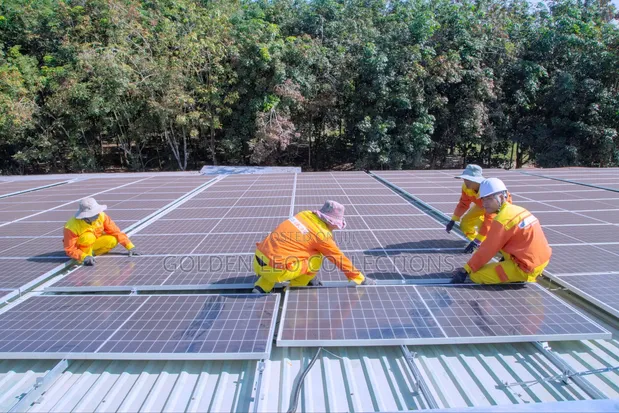 Professional Solar Panel & Inverter Installation - 1