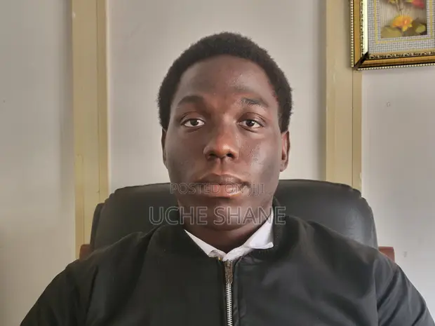 Sales & Telemarketing CV - Uche - 1
