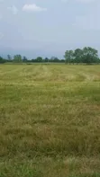200ft x 200ft Land for Sale in Benin City - 2