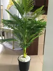 Decorative Flower and Vase Set - 2