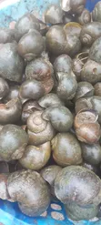Seafood Weekend Packages - 5