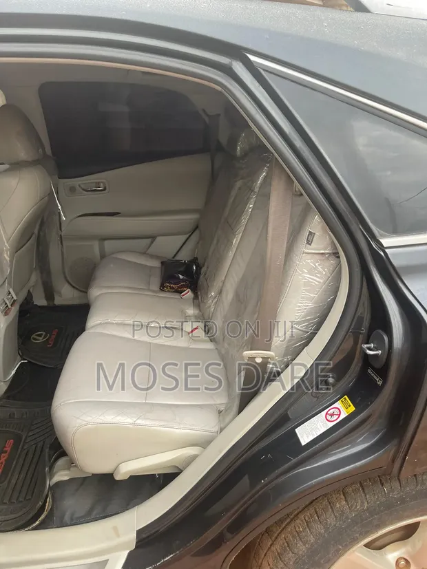 Lexus RX 350 2010 Gray - 1