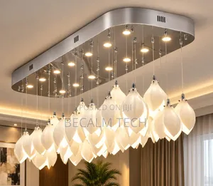 Luxury Drop Chandelier Light
