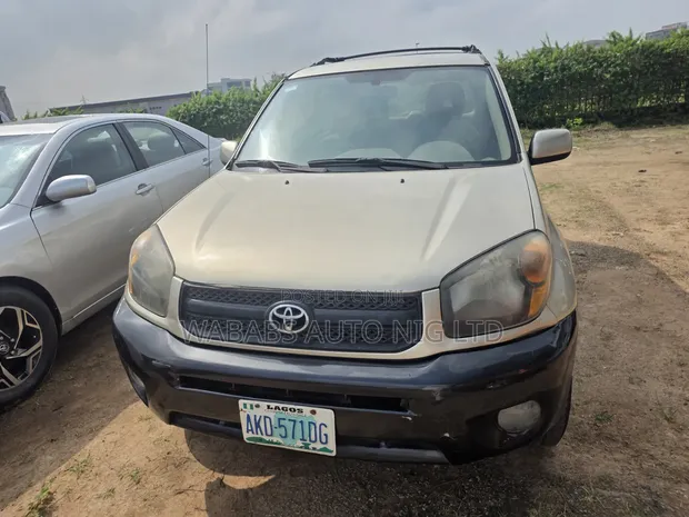 Toyota RAV4 2005 Gold - 1