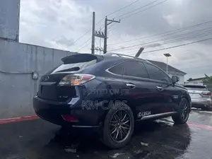 Lexus RX 350 2010 Gray
