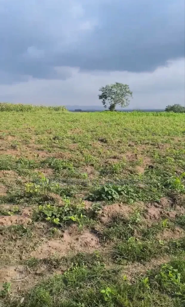Plots of Land for Sale Behind Fountain University, Osogbo - 1