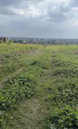 Filin Daga da ake sayarwa a Bayan Jami'ar Fountain, Osogbo - 2