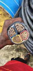 Kabel 70mm x 4 Core PVC/PVC na Jamus - 1