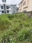 Filin Doka na Sayarwa - Dawaki - 2